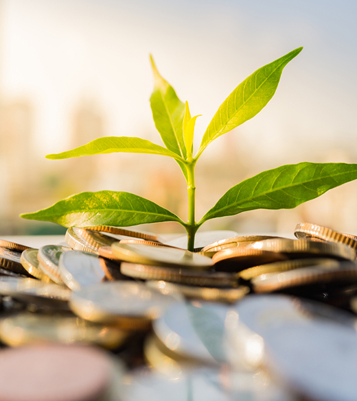 The Rise of Impact Investing